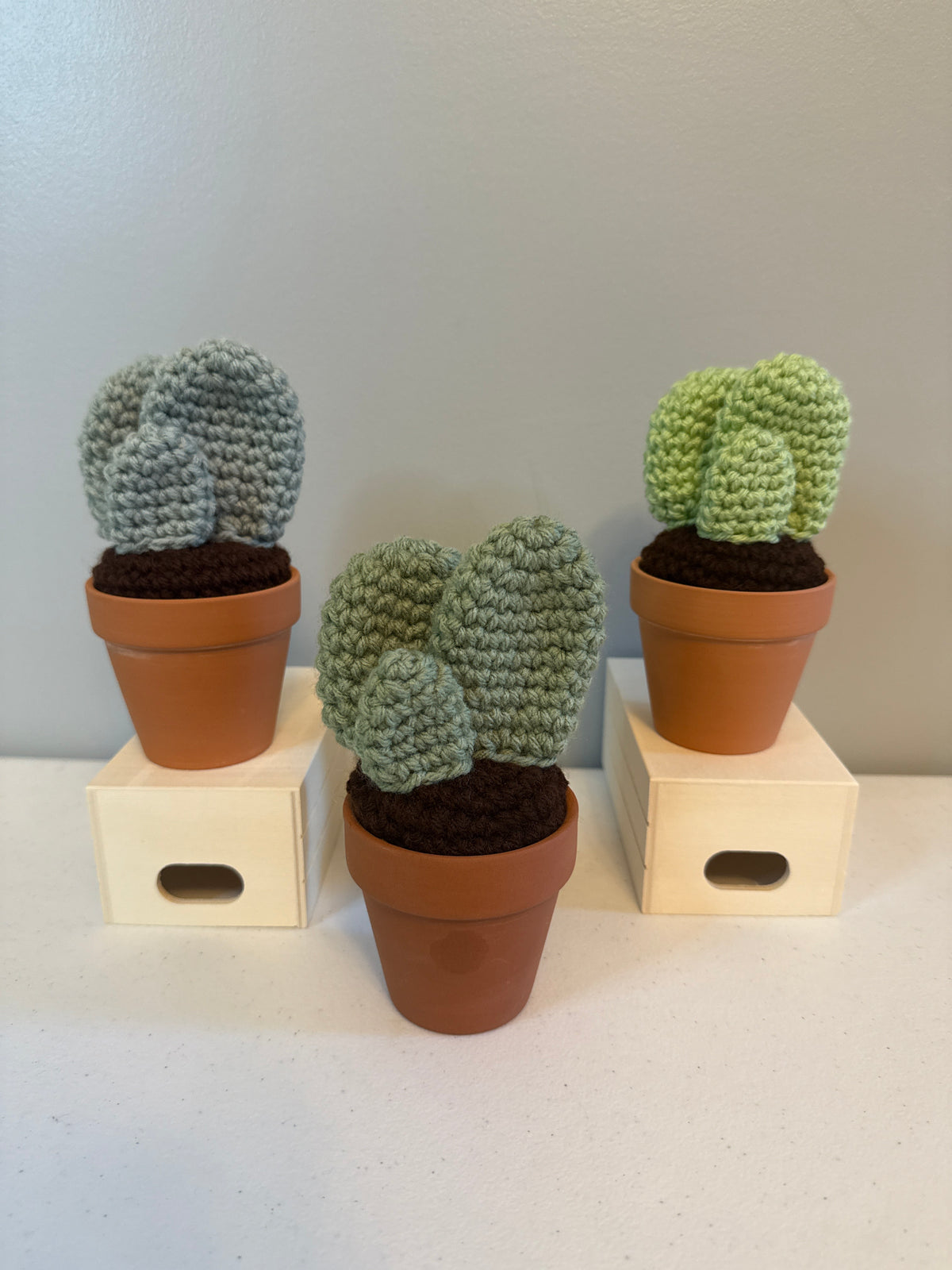 Tri Flat Cactus
