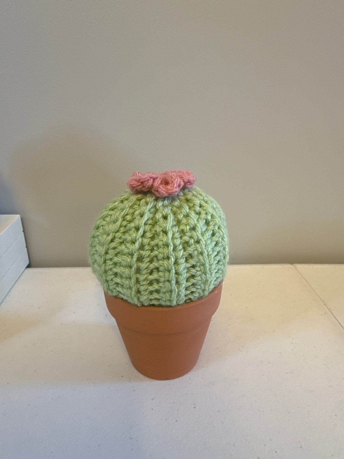 Puff Cactus