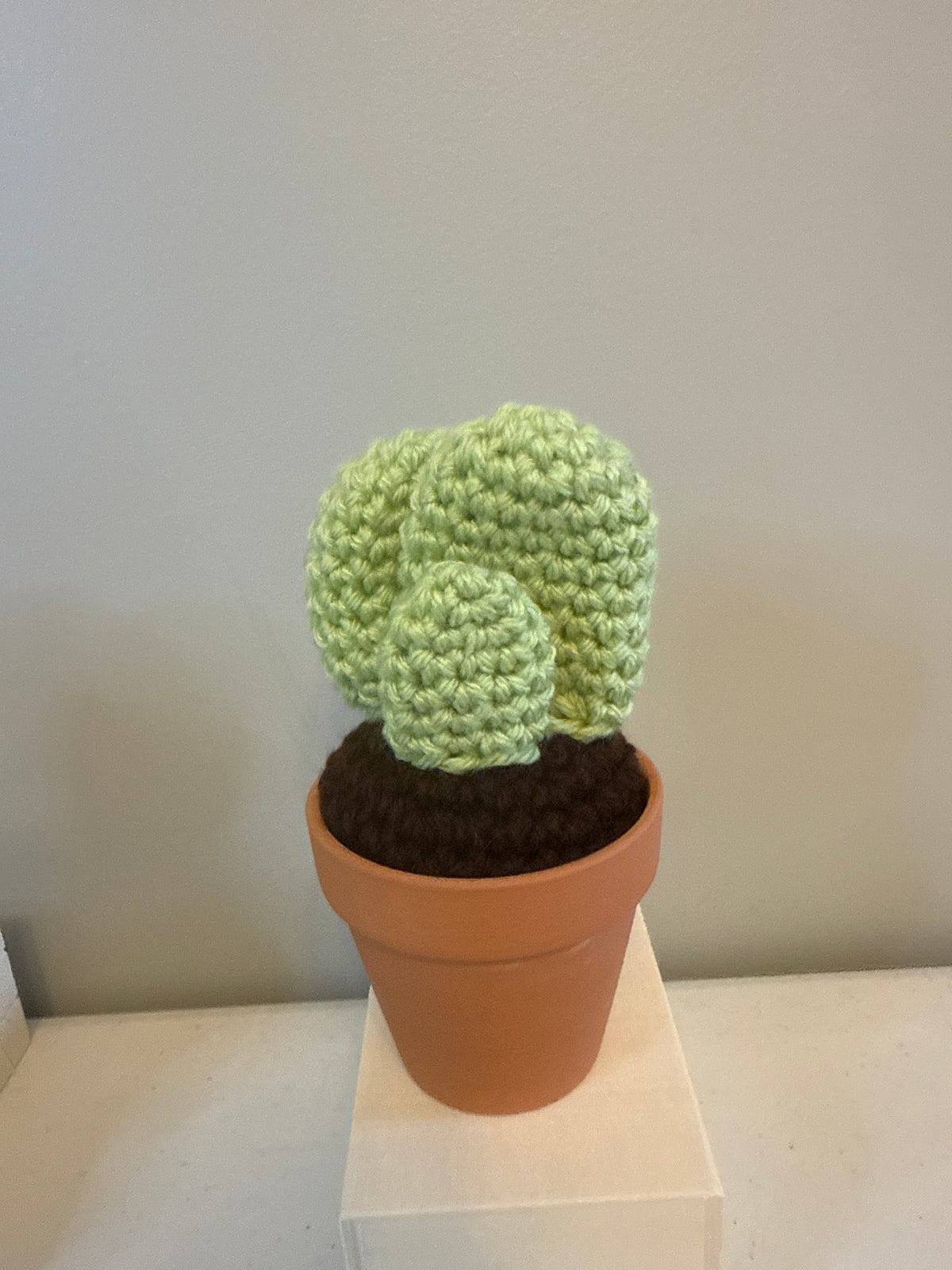 Tri Flat Cactus
