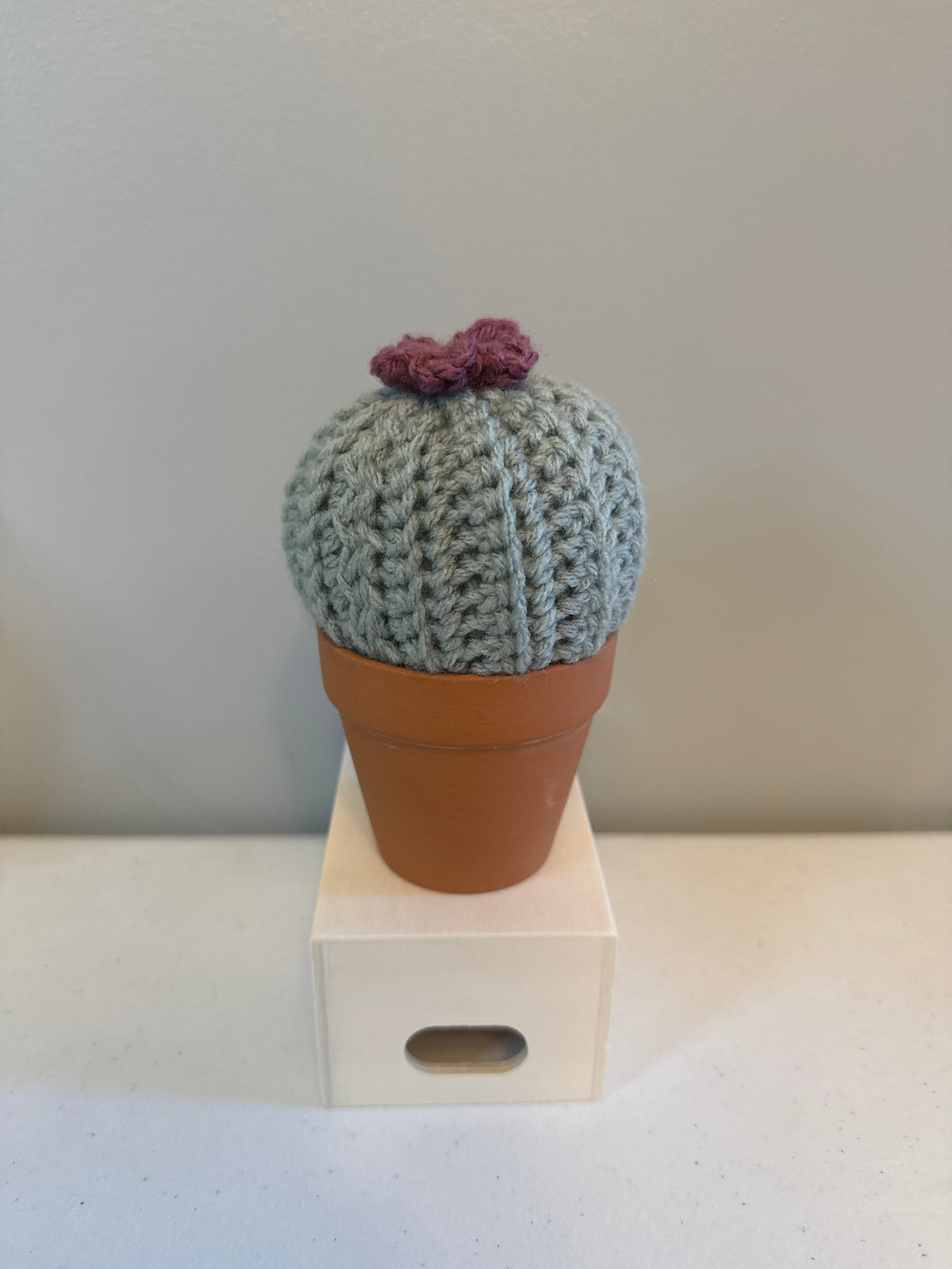 Puff Cactus