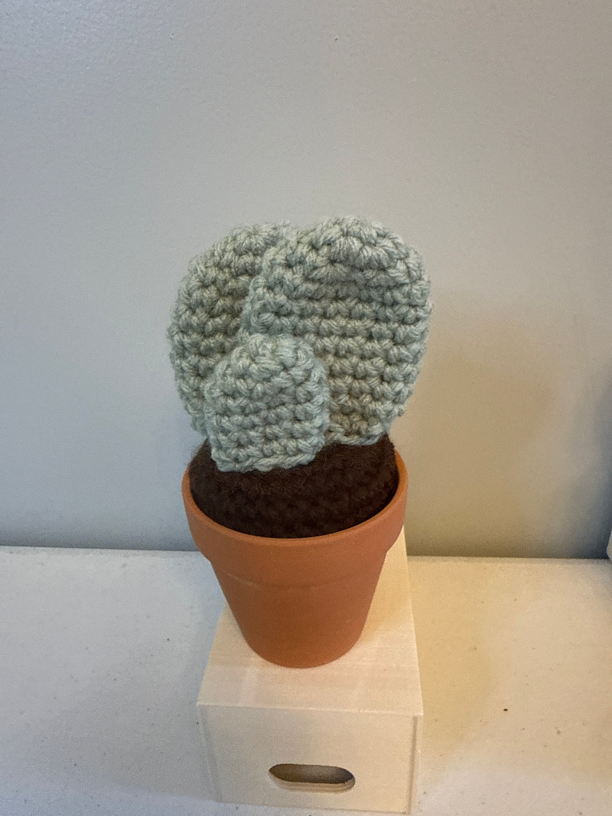 Tri Flat Cactus