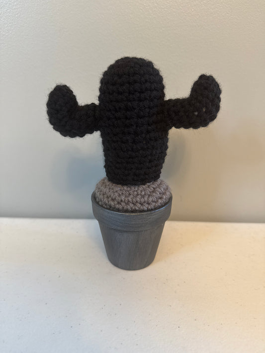 Gothic Classic Cactus