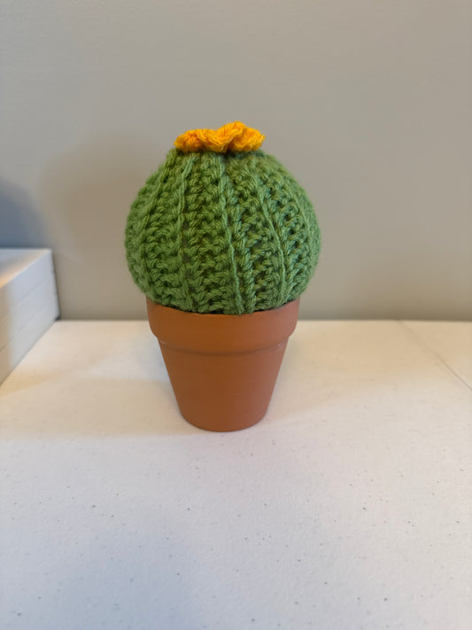 Puff Cactus