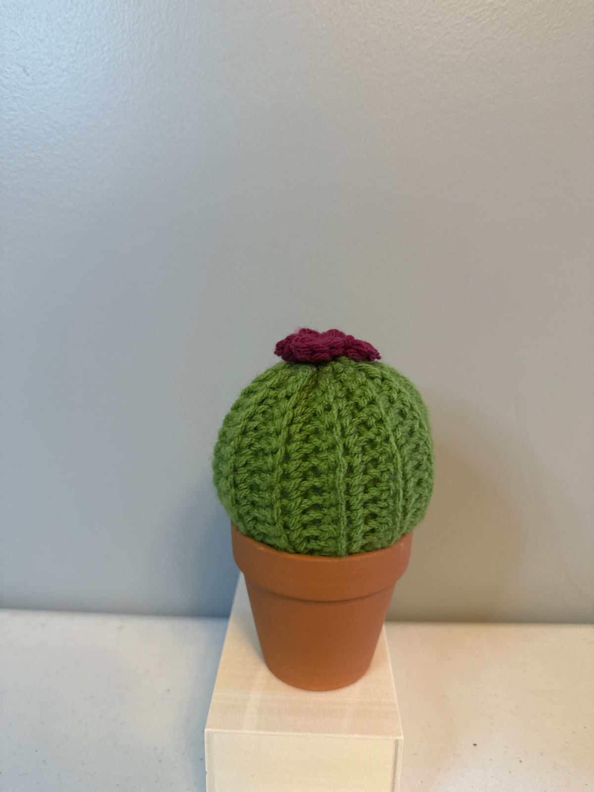 Puff Cactus