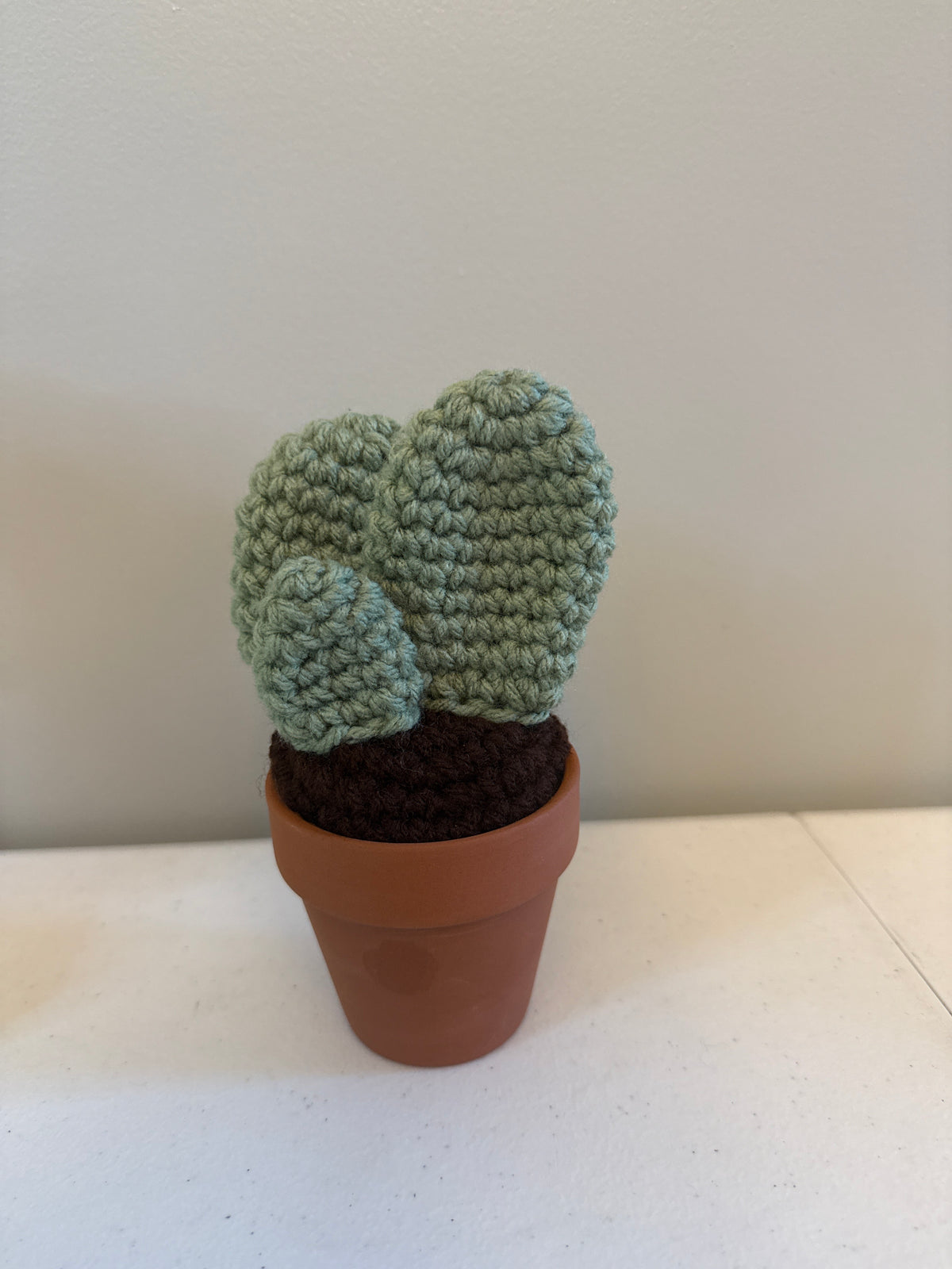 Tri Flat Cactus