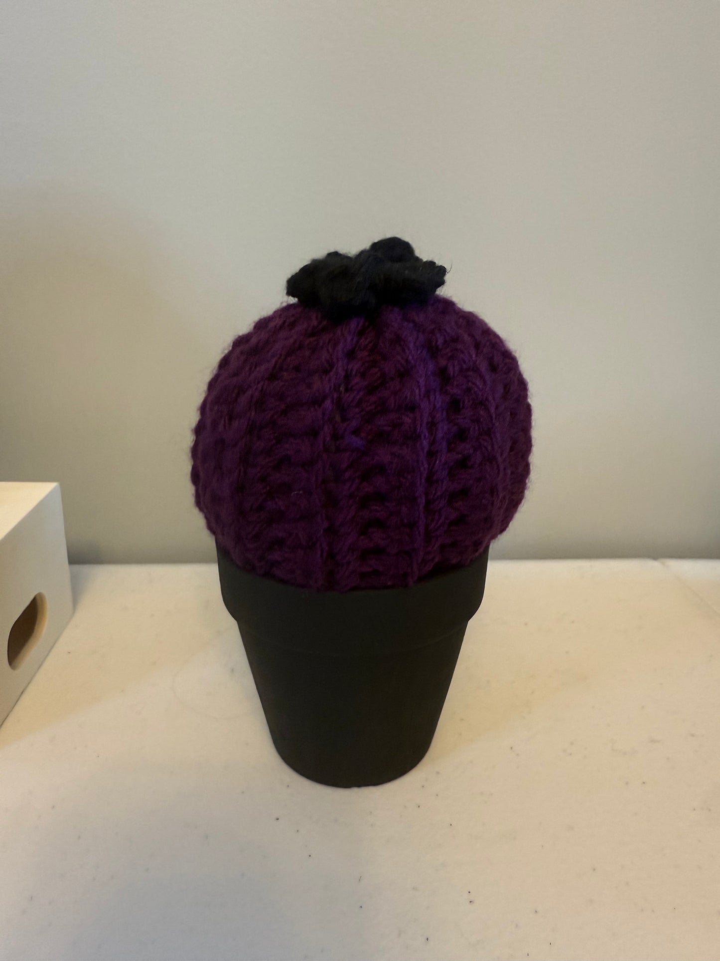 Gothic Puff Cactus