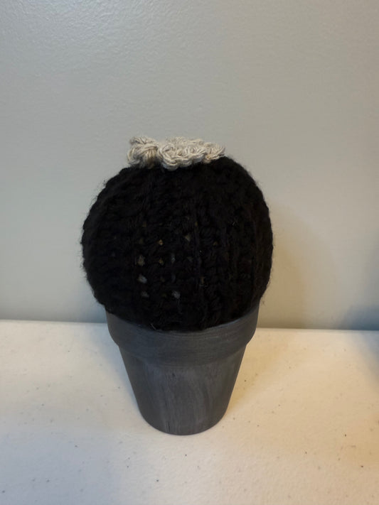 Gothic Puff Cactus