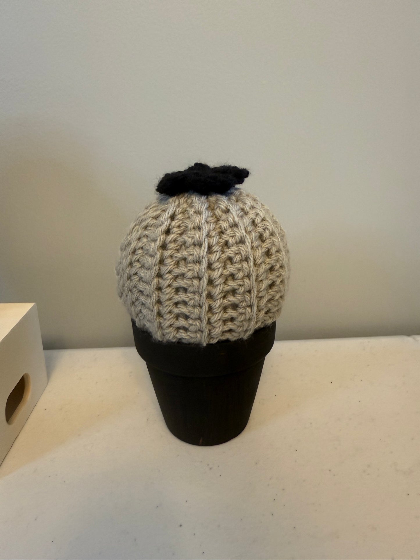 Gothic Puff Cactus