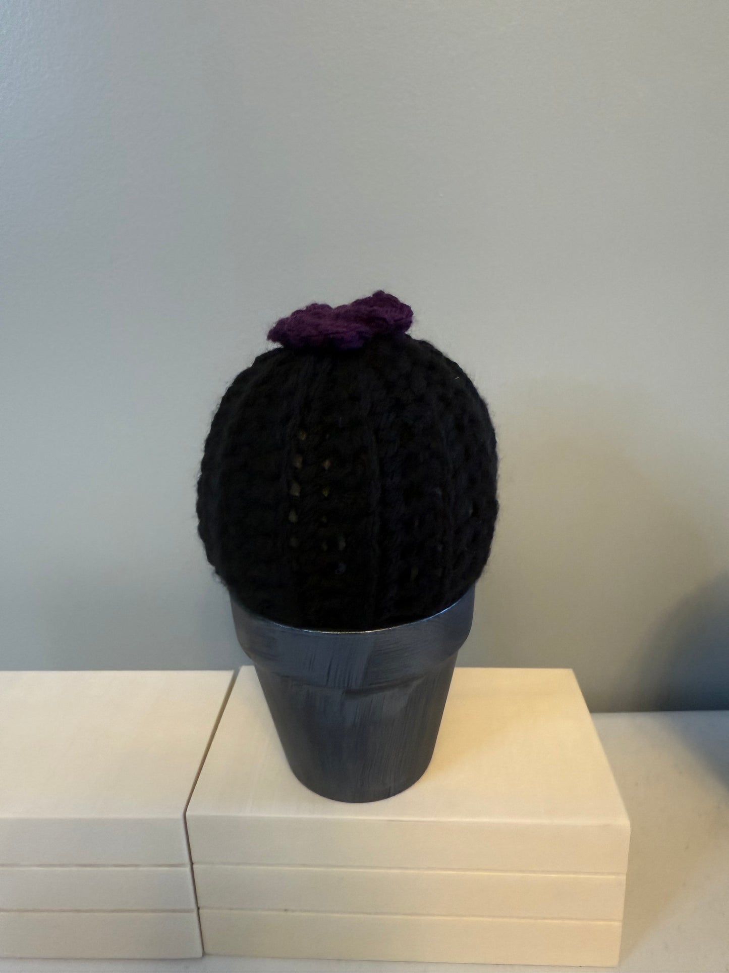Gothic Puff Cactus