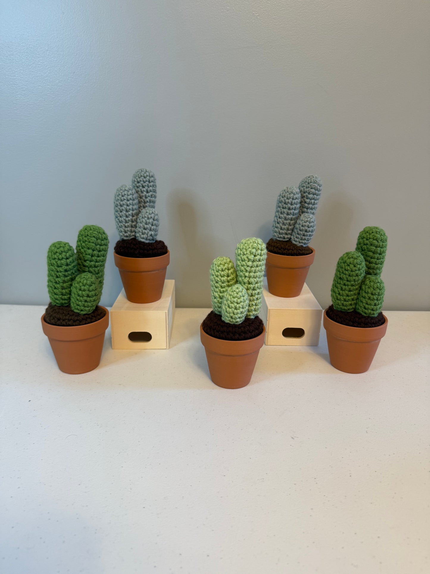 Tri Round Cactus