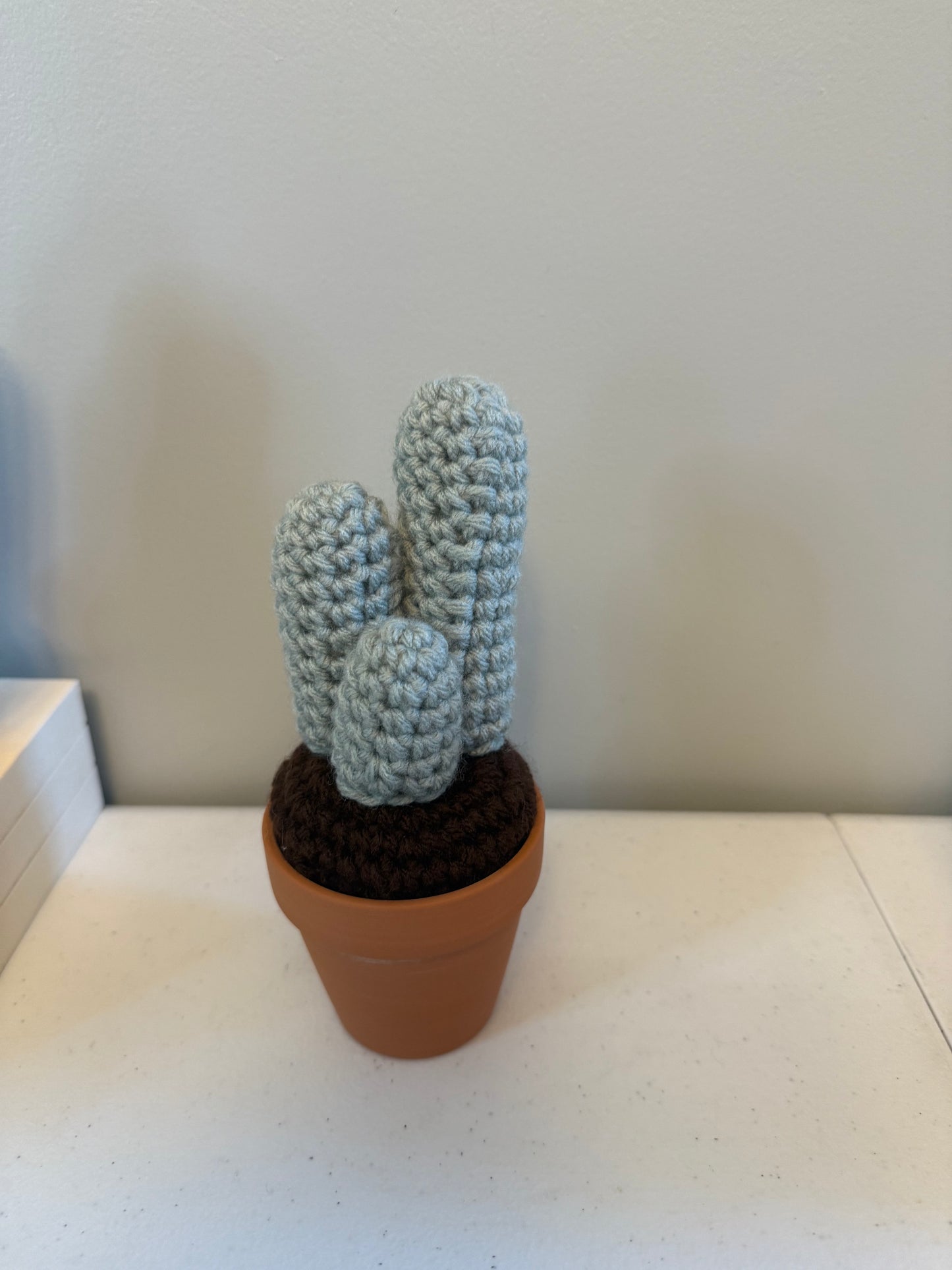 Tri Round Cactus