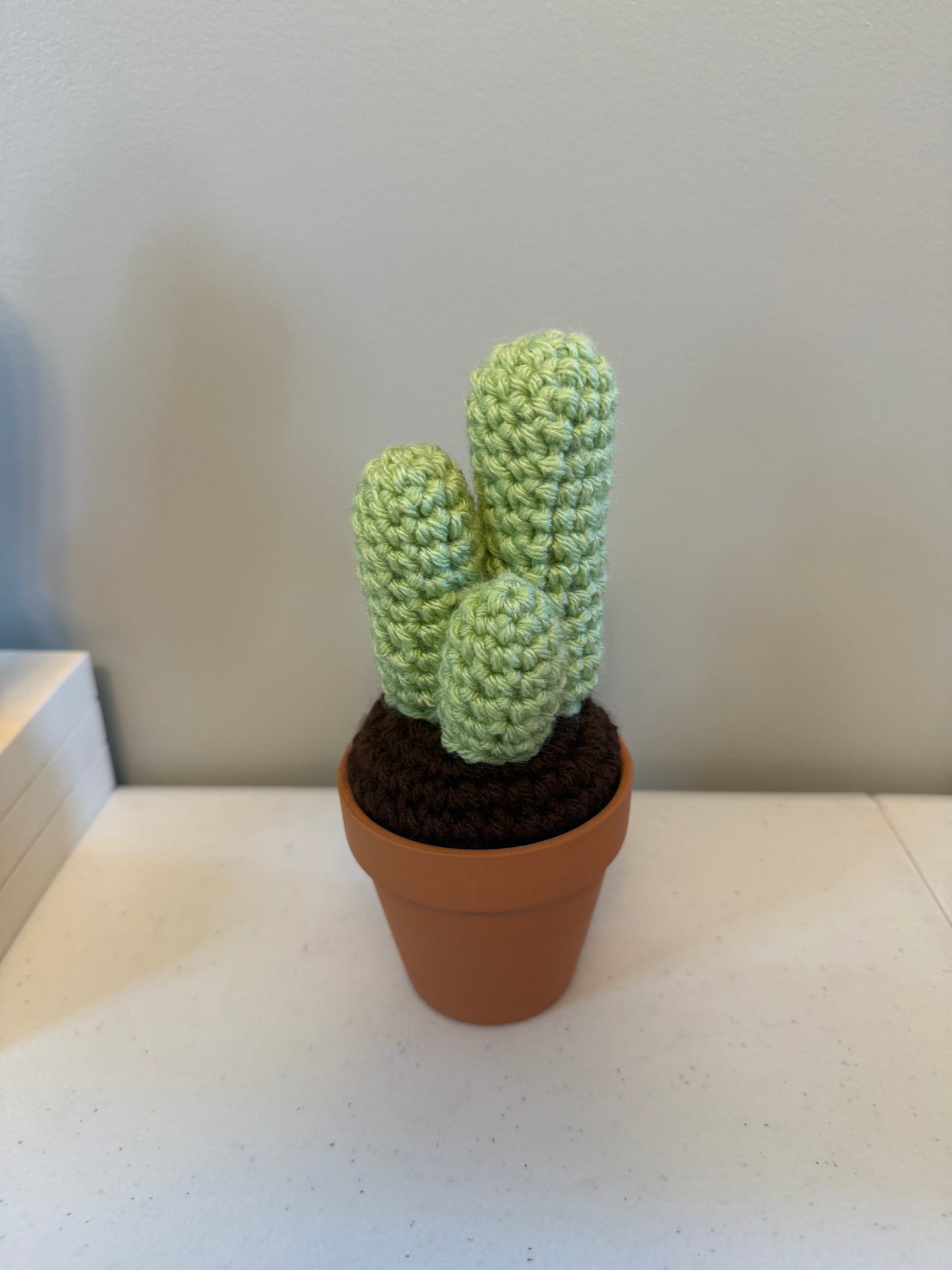 Tri Round Cactus