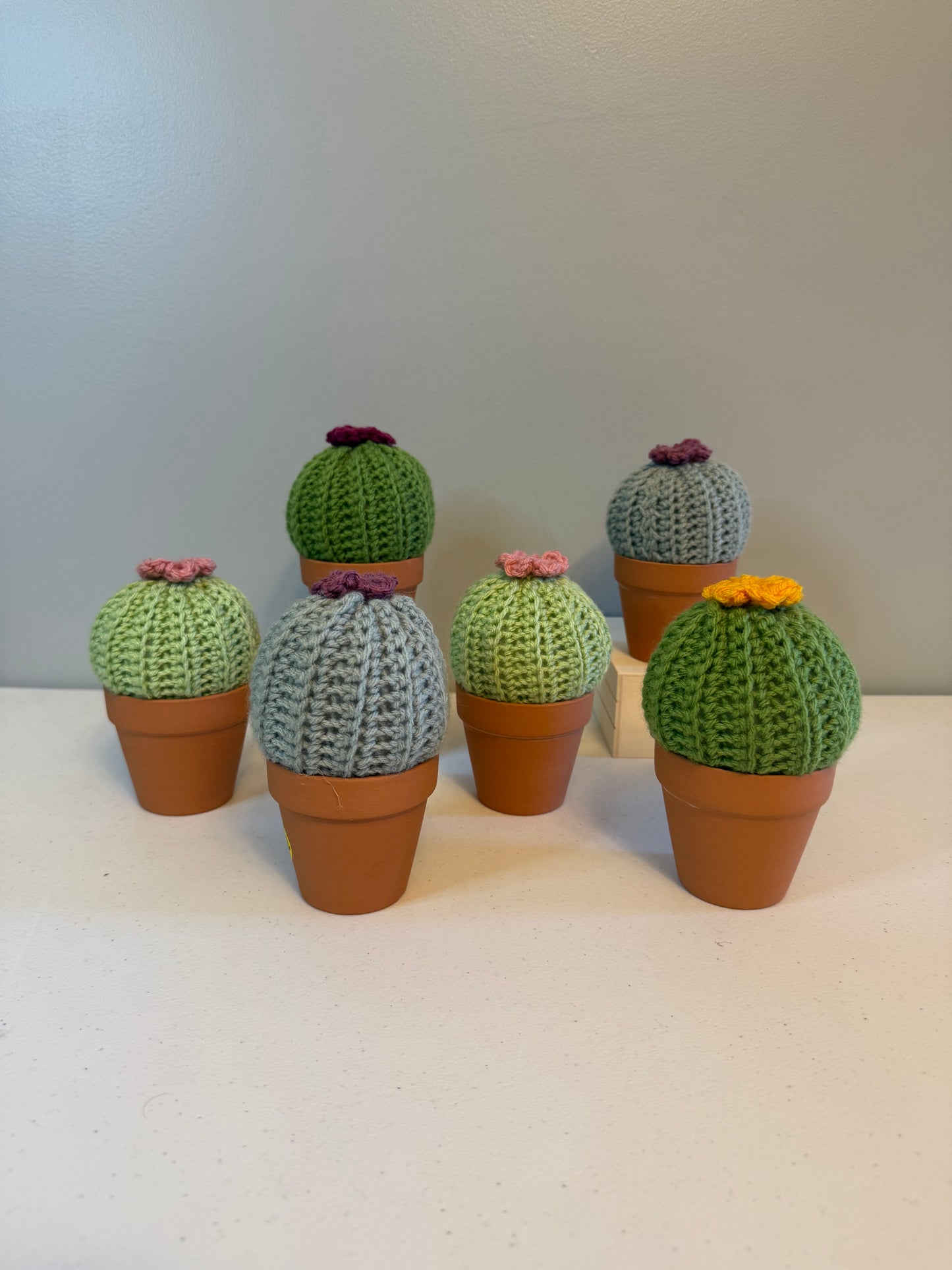 Puff Cactus